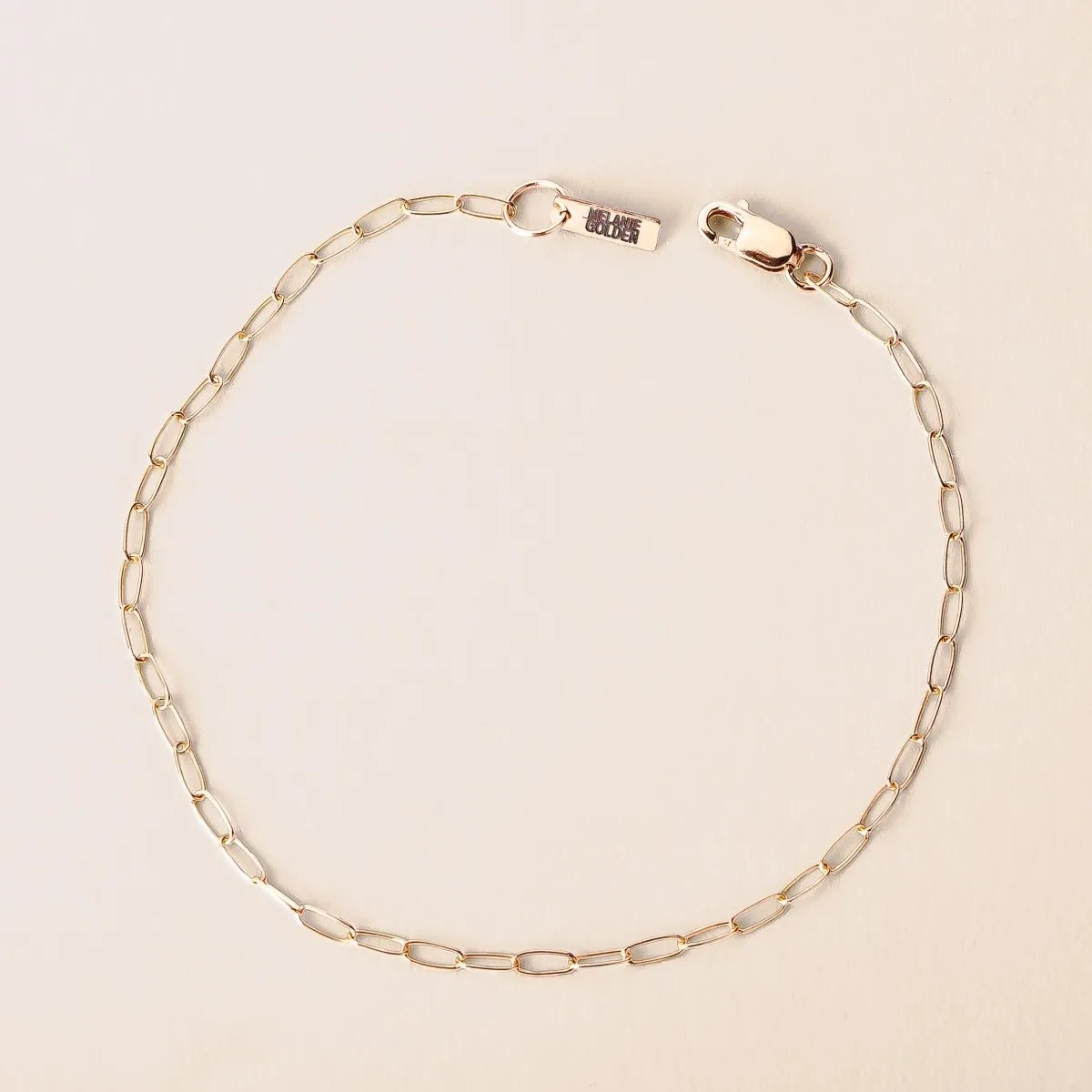 Paperclip Chain Anklet